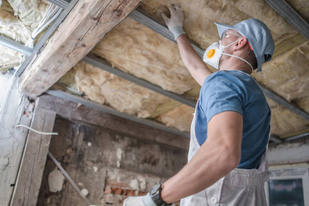 Best Specialized Insulation Services in Toquerville, UT